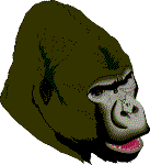 Goril