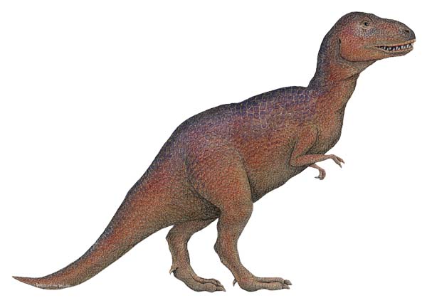 Dinozor