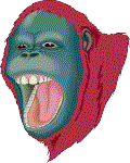 Orangutan